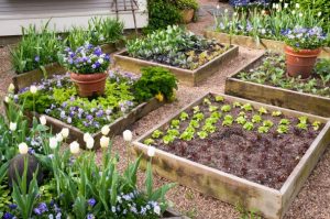 Different Types of Garden Beds in Different Styles