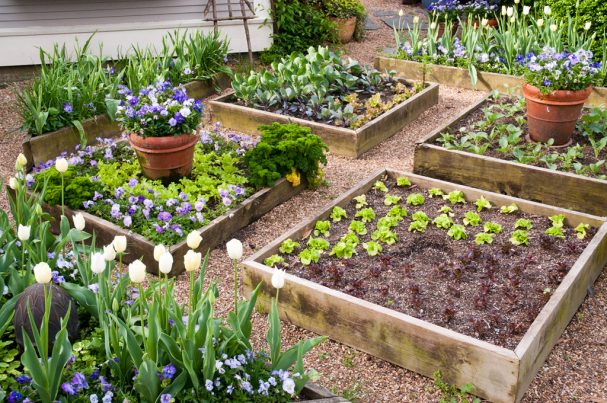 Different Types of Garden Beds in Different Styles